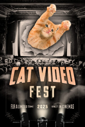 CatVideoFest