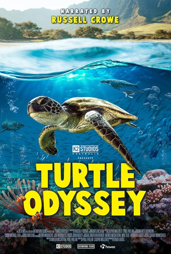 Turtle Odyssey poster